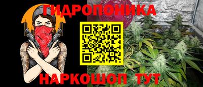 скорость Обь
