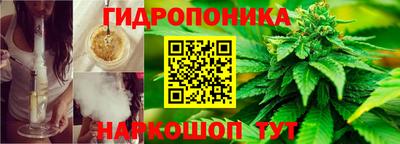скорость Обь