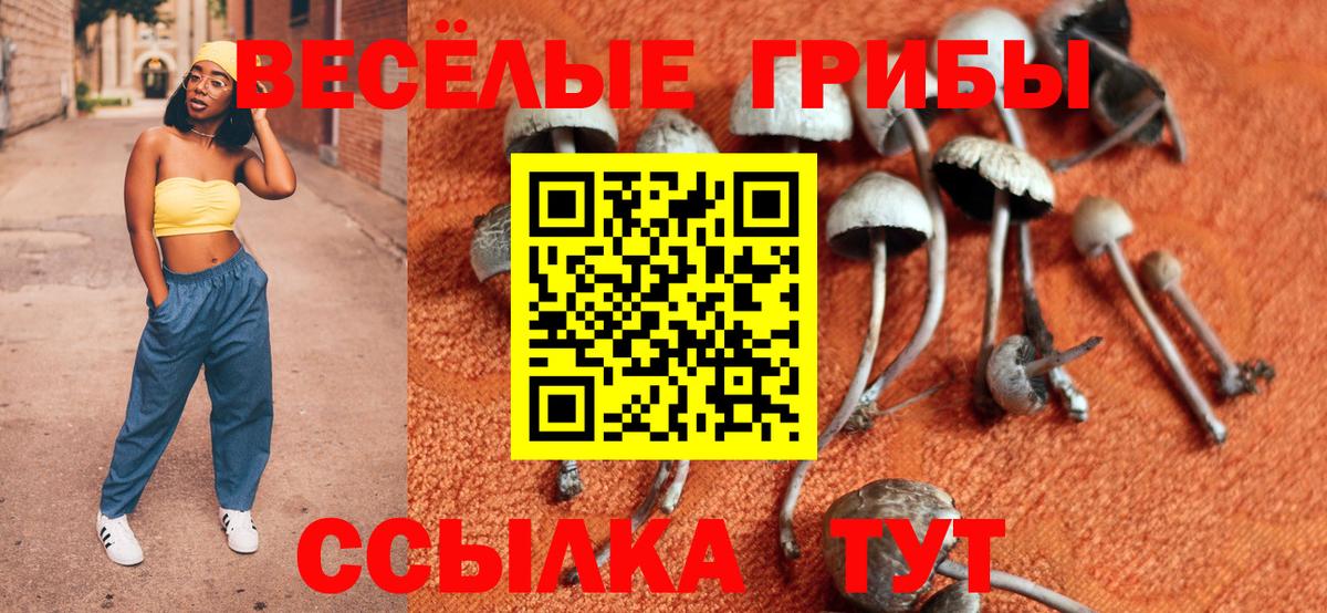 Рассказово  Псилоцибиновые грибы мицелий  Вход с VPN 